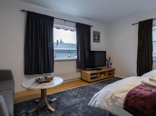 Aurora Dream House Apartment With Free Parking Tromsø Exteriér fotografie