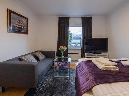 Aurora Dream House Apartment With Free Parking Tromsø Exteriér fotografie