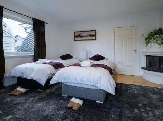 Aurora Dream House Apartment With Free Parking Tromsø Exteriér fotografie